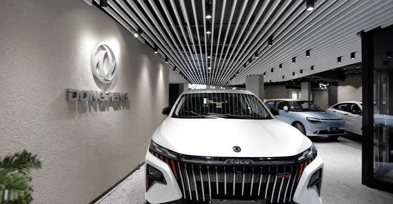 Spazio Dongfeng al TGR Piemonte del 20 febbraio 2025